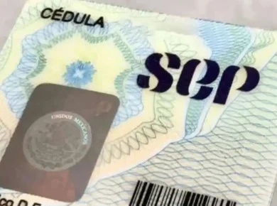 cedula profesional